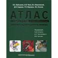 russische bücher: Кубышкин Валерий Алексеевич - Атлас операций при злокачественных опухолях печени и поджелудочной железы и билиопанкретодуоденальной зоны. Руководство