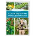 russische bücher: Кизима Г.А. - Большой урожай на маленьких грядках. Все секреты повышения урожайности