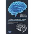 russische bücher: Шулешова Наталья Викторовна, Кульчицкий Владимир Адамович, Вишневский Аркадий - Ствол головного мозга. Клинические и патофизиологические соответствия