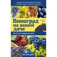 russische bücher:  - Виноград на вашей даче. Растет не только на юге!