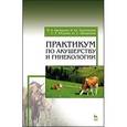 russische bücher: Багманов М.А., Терентьева Н.Ю., Юсупов С.Р., Багданова О.С. - Практикум по акушерству и гинекологии. Учебное пособие