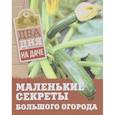 russische bücher: Чернышова Т. - Маленькие секреты большого огорода