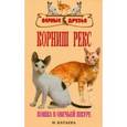 russische bücher: Катаева Ирина Владимировна - Корниш рекс. Кошка в овечьей шкуре