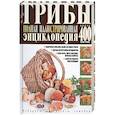 russische bücher: Куреннов И. - Грибы. Полная иллюстрированная энциклопедия. Более 400 видов грибов