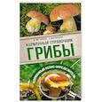 russische bücher: Матанцев А.Н., Матанцева С.Г. - Грибы. Карманный справочник-определитель. Самые распространенные грибы и их двойники