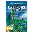russische bücher: Неумывакин Иван Павлович - Каллизия душистая: мифы и реальность