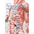 russische bücher: Бил Эндрю - Путеводитель по телу. Практическое руководство по пальпации тела