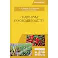 russische bücher: Терехова Вера Ивановна,Мешков Алексей Викторович,Константинович Анастасия Владимировна - Практикум по овощеводству: Учебное пособие