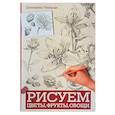 russische bücher: Чиварди Джованни - Рисуем цветы, фрукты, овощи