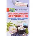 russische bücher: Константинов Ю. - Природное лекарство жимолость. При гипертонии, псориазе, стенокардии, бессоннице, язве, гастрите…