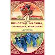 russische bücher: Жвакин В.В. - Виноград, малина, смородина, крыжовник и другие ягоды
