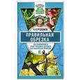 russische bücher: Курдюмов Н.И. - Правильная обрезка. Как сформировать крону плодовых деревьев без насилия над природой