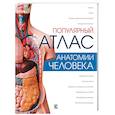 russische bücher: Палычева Л.Н., Лазарев Н.В. - Популярный атлас анатомии человека