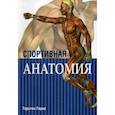 Спортивная анатомия
