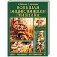 russische bücher: Матанцев А.Н., Матанцева С.Г. - Большая энциклопедия грибника. Сбор, хранение, переработка