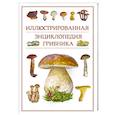 russische bücher: Поленов А.Б. - Иллюстрированная энциклопедия грибника.