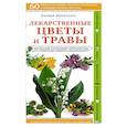 russische bücher: Ксения Митителло  - Лекарственные цветы и травы. Наглядный карманный определитель 