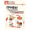 russische bücher: Сергеева М.Н. - Грибы. Съедобные и несъедобные. Начальная школа. ФГОС