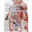 russische bücher: Бил Эндрю - Путеводитель по телу. Практическое руководство по пальпации тела