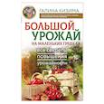 russische bücher: Кизима Г.А. - Большой урожай на маленьких грядках. Все секреты повышения урожайности