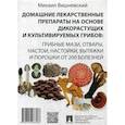 russische bücher: Вишневский Михаил Владимирович - Домашние лекарственные препараты на основе дикорастущих и культивируемых грибов