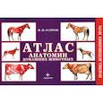 russische bücher: Осипов Иван Прокопьевич - Атлас анатомии домашних животных