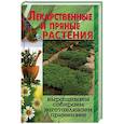 russische bücher: Руцкая Т. - Лекарственные и пряные растения. Выращиваем, собираем, заготавливаем, применяем