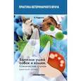russische bücher: Родригес Пилар Сагредо - Болезни ушей собак и кошек. Клинические случаи. Цветной атлас