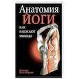 Анатомия йоги: как работают мышцы