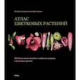 russische bücher: Нислер И.,Нибель-Ломанн А. - Атлас цветковых растений. 200 ботанических семейств в необычных ракурсах и мельчайших деталях