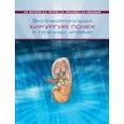 russische bücher: Зотиков А. Е. - Экстракорпоральная хирургия почек и почечных артерий