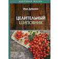russische bücher: Дубровин Иван Ильич - Целительный шиповник