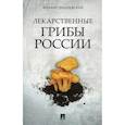 russische bücher: Вишневский М. - Лекарственные грибы России