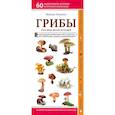 russische bücher: Михаил Куценко - Грибы русских лесов и полей