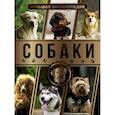 russische bücher: Барановская И.Г., Вайткене Л.Д., Филиппова М.Д. - Большая энциклопедия. Собаки