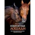 russische bücher: Наталья Франк - Невероятные лошади. Все о самых грациозных и сильных существах на планете
