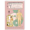 russische bücher: Минь Лао - Целительные точки нашего организма. Подробный самоучитель