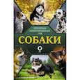 russische bücher: Барановская И.Г., Вайткене Л.Д., Хомич Е.О. - Собаки. Популярный иллюстрированный гид