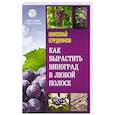 russische bücher: Курдюмов Н.И. - Как вырастить виноград в любой полосе