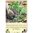 russische bücher: Тыбель В. - Выращивание рассады. Все самое важное от семян до урожая
