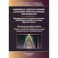 russische bücher: Гайворонский Иван Васильевич, Гайворонская Мария Георгиевна, Курцева Анна Андреевна - Периферическая нервная система. Автономная нервная система. Органы чувств