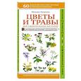 russische bücher: Михаил Куценко - Цветы и травы. Мир удивительных растений