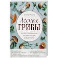 russische bücher: Ильина Т. - Лесные грибы. Иллюстрированная энциклопедия с рецептами