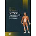 russische bücher: Никитюк Дмитрий Борисович, Сапин Михаил Романович, Швецов Эдуард Владимирович - Атлас нормальной анатомии человека