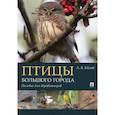 russische bücher: Евсеев Антон Вячеславович - Птицы большого города