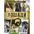russische bücher: Спектор А.А. - Большая энциклопедия. Лошади
