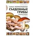 russische bücher: Вишневский М. - Самые распространенные съедобные грибы