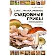 russische bücher: Вишневский М. - Самые распространенные съедобные грибы