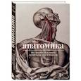 russische bücher: Джоанна Эбенштейн - Анатомика. От ужасного до великого: человеческое тело в искусстве