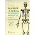 russische bücher: Гайворонский И.В. - Анатомия человека. Кости туловища и конечностей. (карточки + кольцо для стяжки карточек)